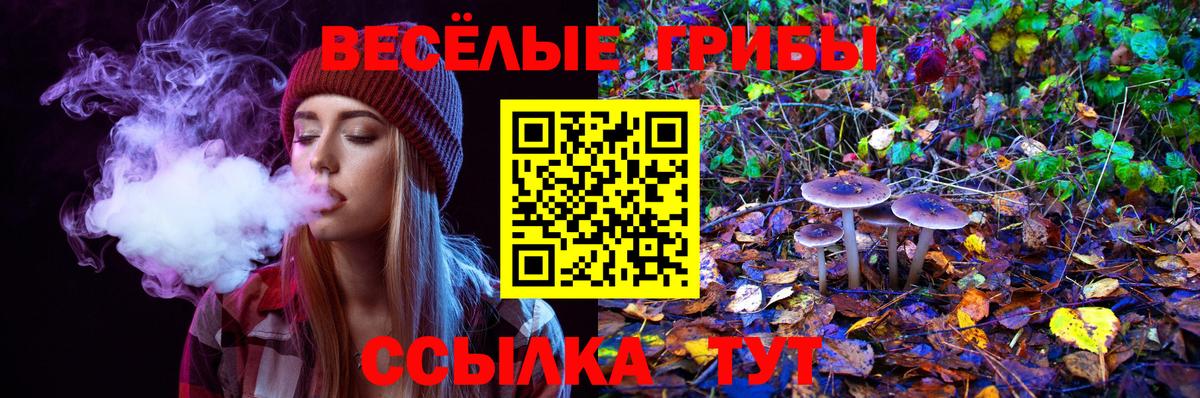 Ногинск  Псилоцибиновые грибы Psilocybine cubensis  Вход с VPN  Галлюциногенные грибы GOLDEN TEACHER 