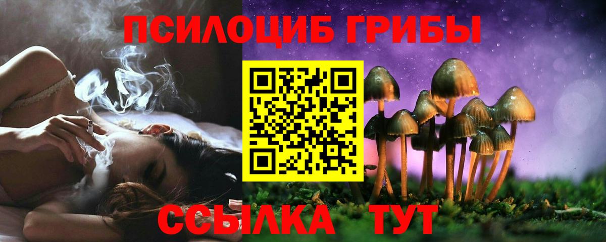 Галлюциногенные грибы Psilocybe Ногинск
